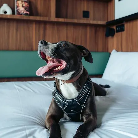 Jost Centre Gare Saint Jean 3*