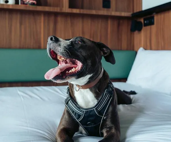 Jost Centre Gare Saint Jean 3*